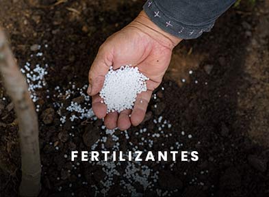 Fertilizantes